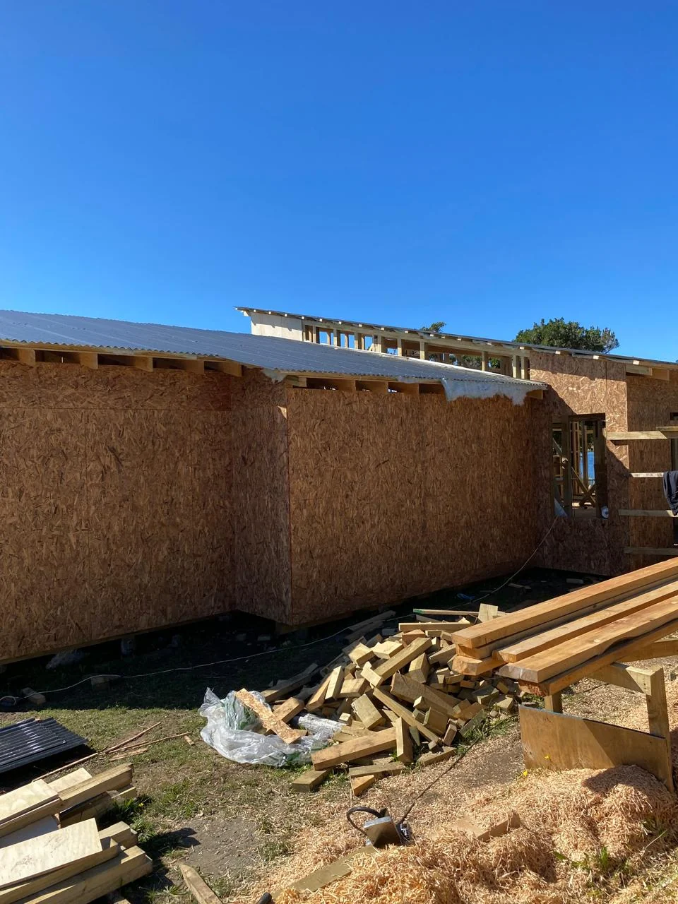 Casa Caipulli: proyecto